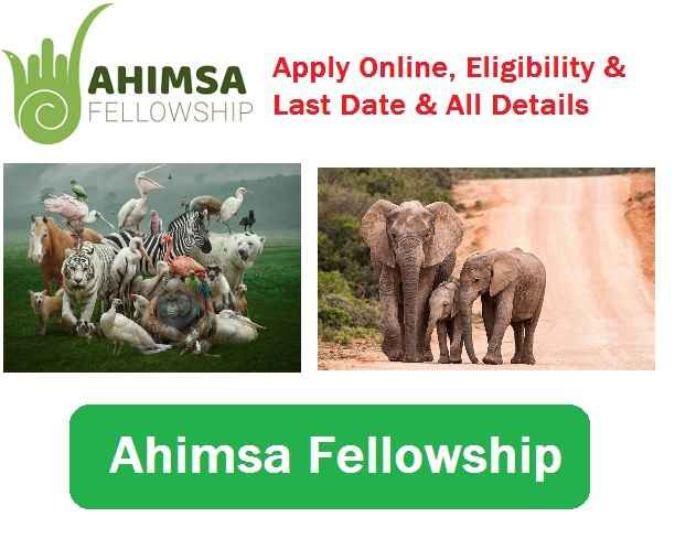 Ahimsa Fellowship: Apply Online, Eligibility & Last Date