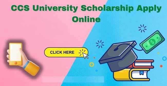 CCS University Scholarship: Apply Online, List & Last Date