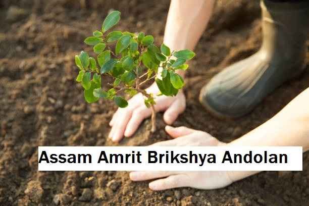 Assam Amrit Brikshya Andolan: Registration & App Download