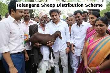 Telangana Sheep Distribution Scheme: Beneficiary List